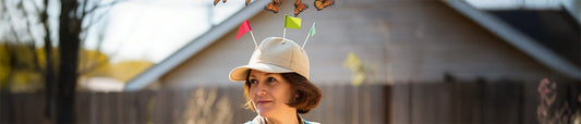 The Butterfly Effect